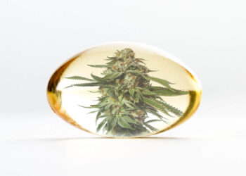 CBD vs CBG vs CBN: What's the Difference?