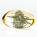 CBD vs CBG vs CBN: What's the Difference?