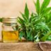Using Alternative Cannabinoids to Help Manage Pain Issues