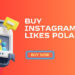 Buy Instagram Likes Poland I 7 Best Sites To Buy Instagram Likes Poland In 2023