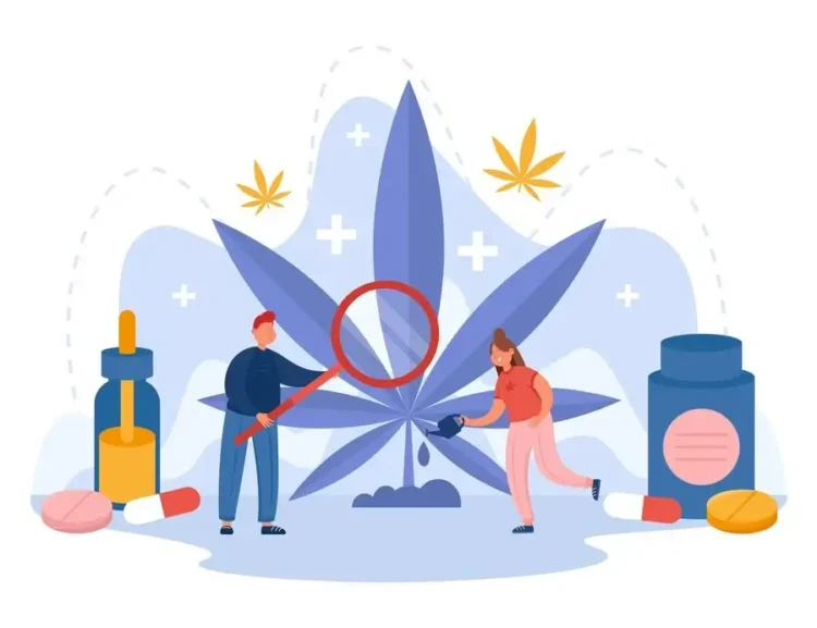 Cannabis Enthusiasts