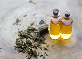 Exploring the World of Wellness