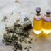 Exploring the World of Wellness