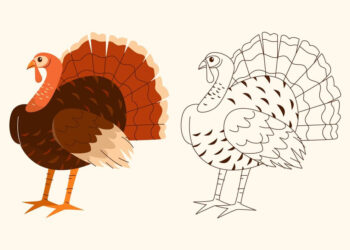 Printable Turkey Targets