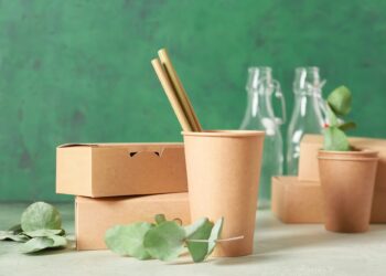 Packaging with a Purpose: How Sustainable Packaging Companies are Redefining the Industry