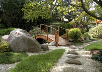 The Beauty of Hardscaping: Tips for Landscaping Without Plants