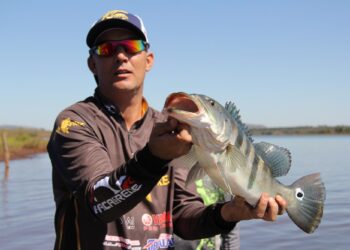 The Best Fishing Guides Near Me: A Comprehensive Guide