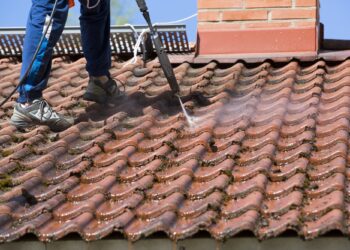 9 Signs It’s Time to Hire a Professional Roof Cleaning Company