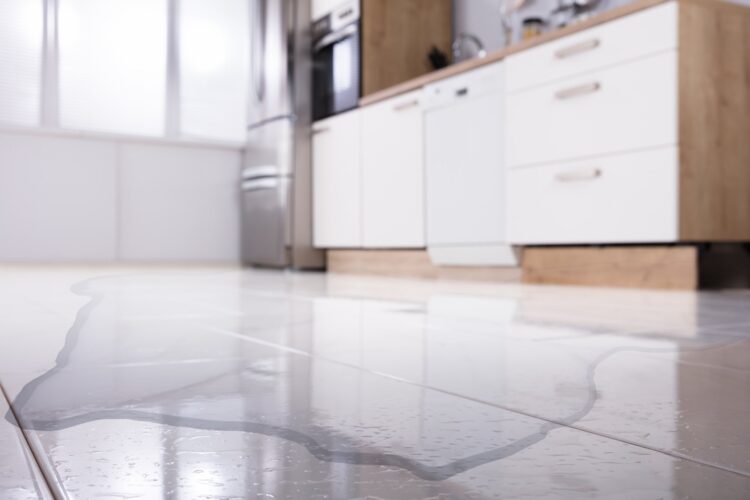 The Top Causes of Water Damage and How to Prevent Them