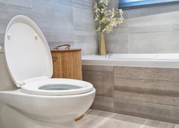 3 Reasons to Invest in an Automatic Toilet Bowl Cleaner