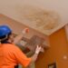 The Top 4 Roof Mold Remover Products on the Market: Pros and Cons