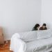 The Main Steps on How to Clean a White Couch