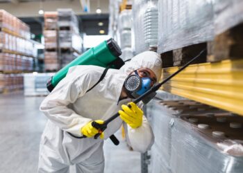 How Much Should Fumigation Services Cost?