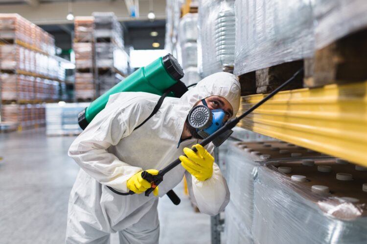 How Much Should Fumigation Services Cost?