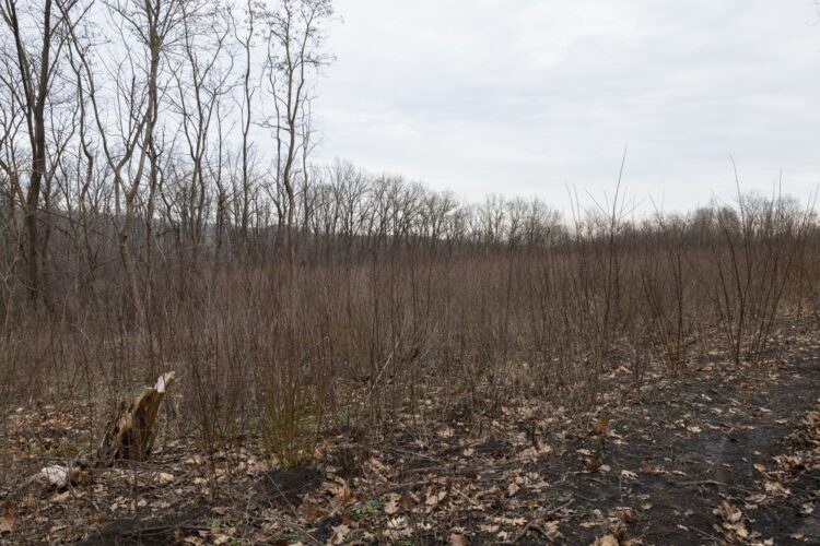 From the Kitchen to the Landfill: Creative Ways to Reduce Food Waste and Limit Emissions