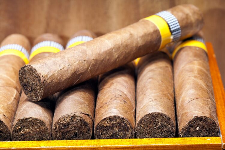 Buying Cigars Online: How to Choose Good Cigar Brands