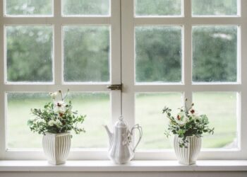 double casement window