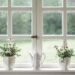 double casement window