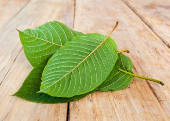 kratom