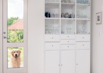 DIY Installation Guide: How to Install a Glass Pet Door in Your Home