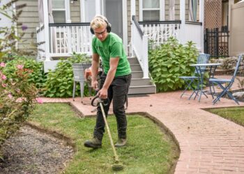 Affordable Lawn Care Services to Enhance Your Curb Appeal