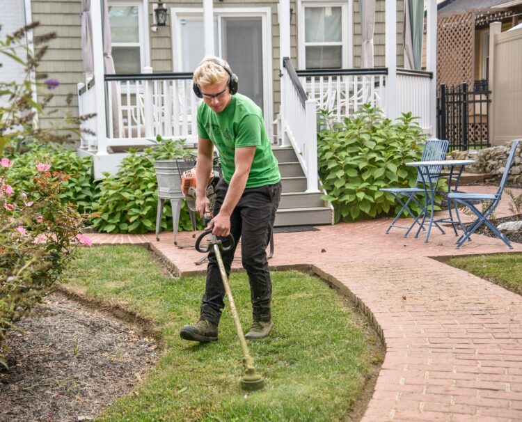 Affordable Lawn Care Services to Enhance Your Curb Appeal