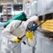Beyond Bug Spray: Innovative Tactics for Emergency Pest Control