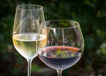 From Chardonnay to Moscato: How Different White Wine Grapes Influence Flavor Profiles