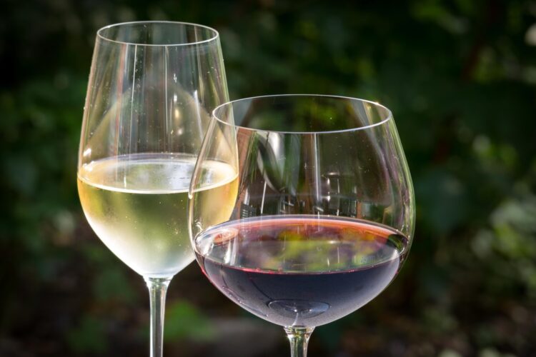 From Chardonnay to Moscato: How Different White Wine Grapes Influence Flavor Profiles