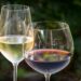 From Chardonnay to Moscato: How Different White Wine Grapes Influence Flavor Profiles