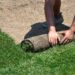 From Seed to Sod: Exploring the Different Options for Lawn Installation Near Me