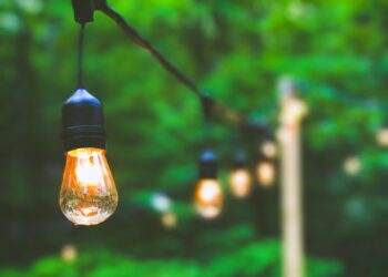 How to Choose the Right Landscape Light Bulbs for Your Garden