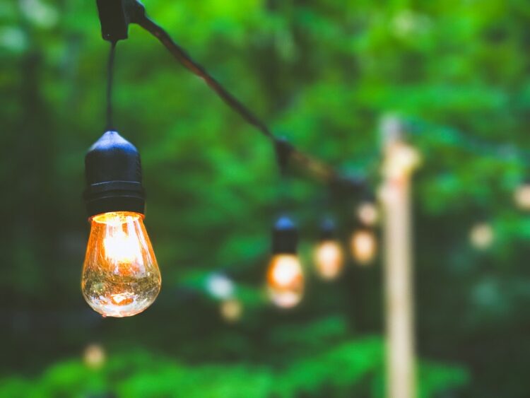 How to Choose the Right Landscape Light Bulbs for Your Garden