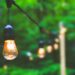 How to Choose the Right Landscape Light Bulbs for Your Garden