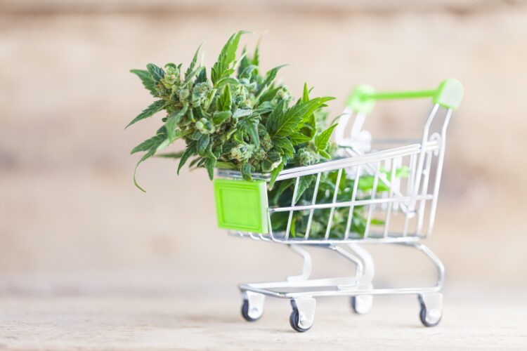marketing cannabis