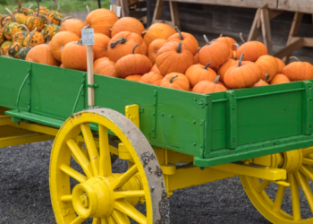 Boosting Business: How a Restaurant Patio Can Increase Revenue