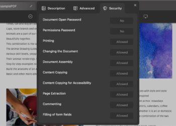 5 Best PDF Password Removers (Online and Offline)