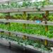 Creative Ways to Use a Vertical Gardening Planter for Stunning Outdoor Decor