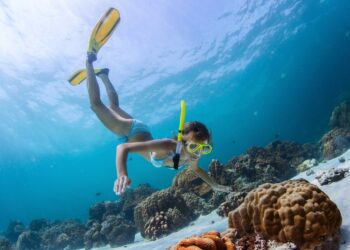 Maui Snorkel Rental: 5 Things to Look for in Quality Gear and Rental Services