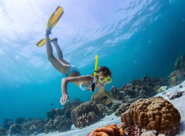 Maui Snorkel Rental: 5 Things to Look for in Quality Gear and Rental Services