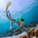 Maui Snorkel Rental: 5 Things to Look for in Quality Gear and Rental Services