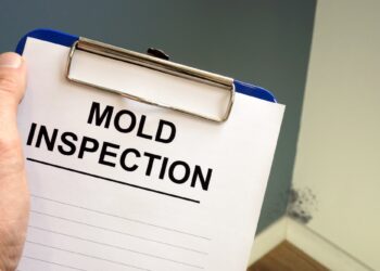 Mold Solutions and Inspections: A Comprehensive Overview