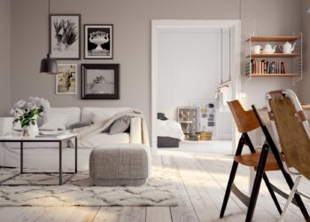 Don’t Forget These! Often Overlooked College Apartment Essentials