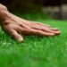 The Ultimate Guide to Maintaining a Thriving Soil Lawn