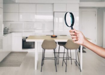 The Top Signs of Pest Infestation in Different Areas of Your Home