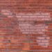 How To Identify and Treat an Ant Infestation in Walls