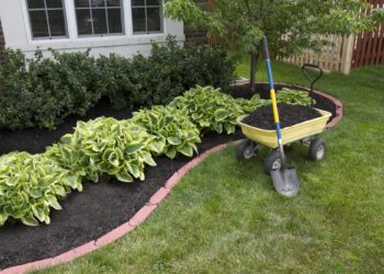 Transform Your Outdoor Space: Residential Landscape Maintenance Tips