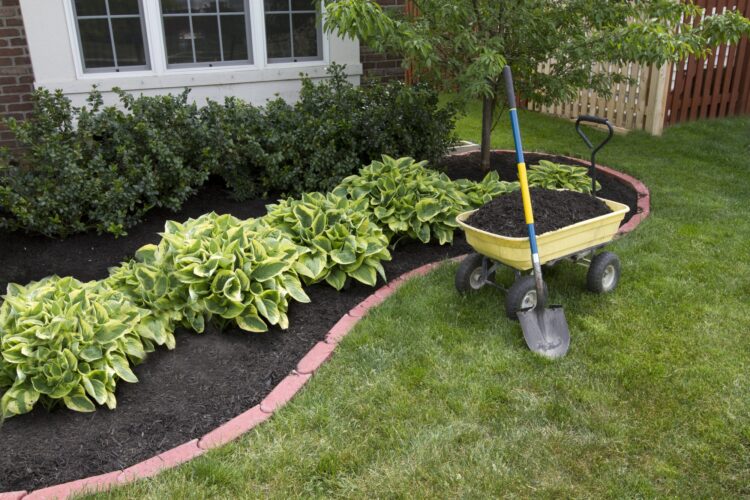Transform Your Outdoor Space: Residential Landscape Maintenance Tips