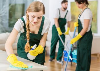 The Ultimate Guide to Finding Reliable Cleaning Services in Texas