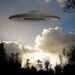 A Guide to Encounters Between Extraterrestrial and Terrestrial Life